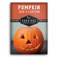 Jack O Lantern Pumpkin seeds