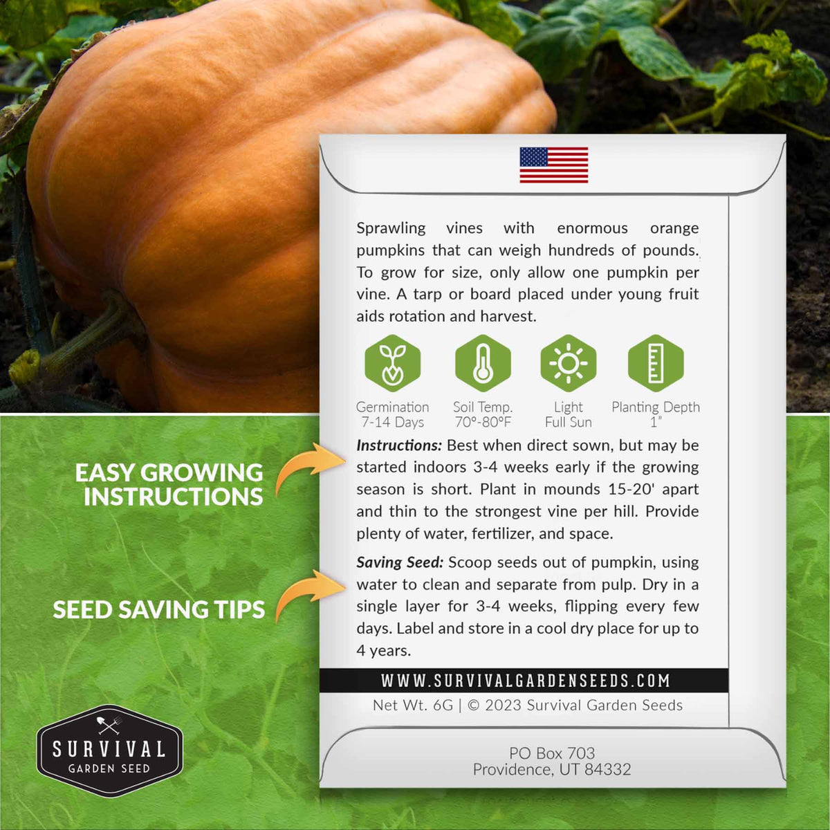 Giant pumpkin growing instructions