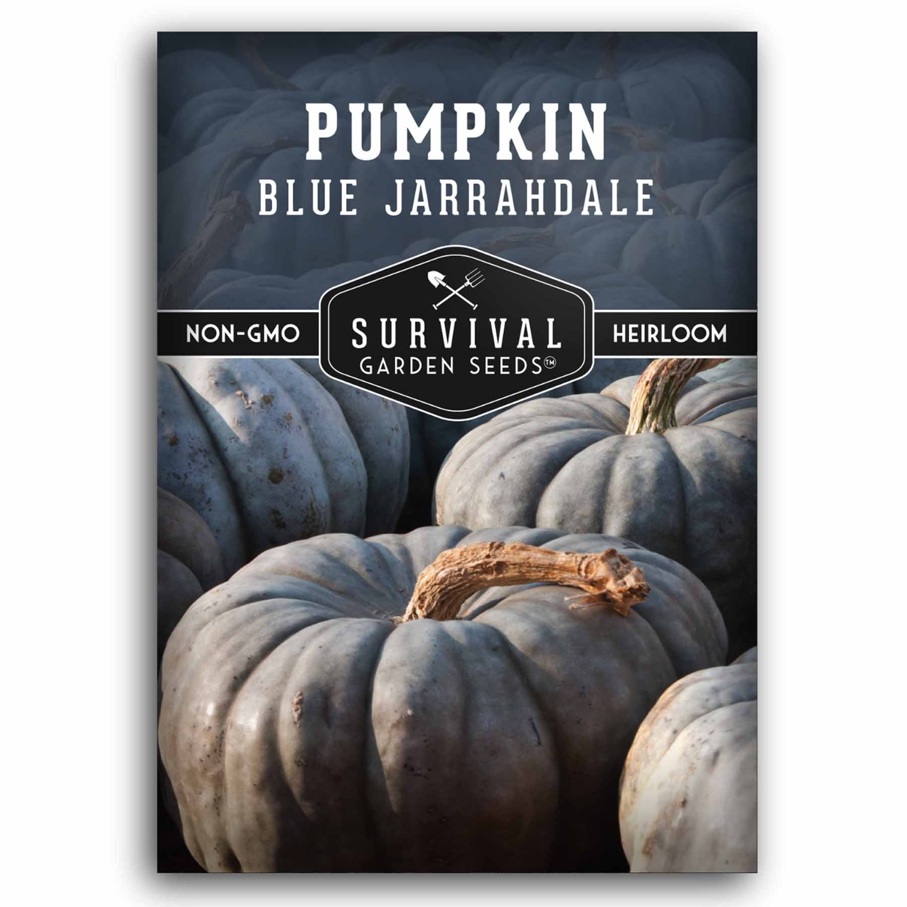 Blue Jarrahdale Heirloom Pumpkin Seeds – SurvivalGardenSeeds