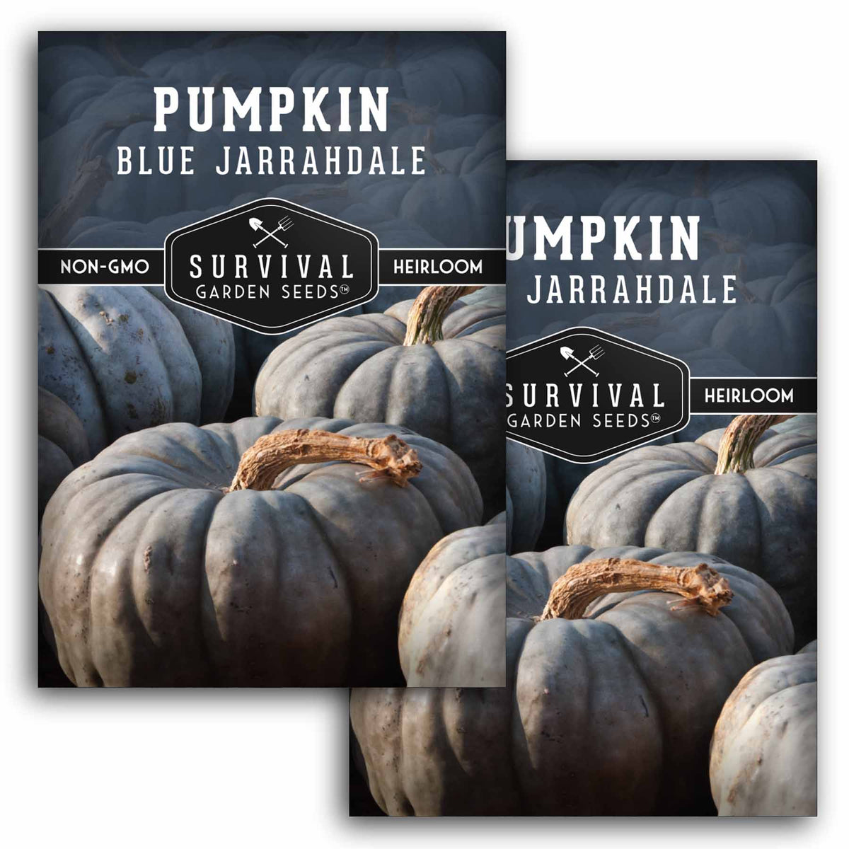 2 packets of Blue Jarrahdale Pumpkin seeds