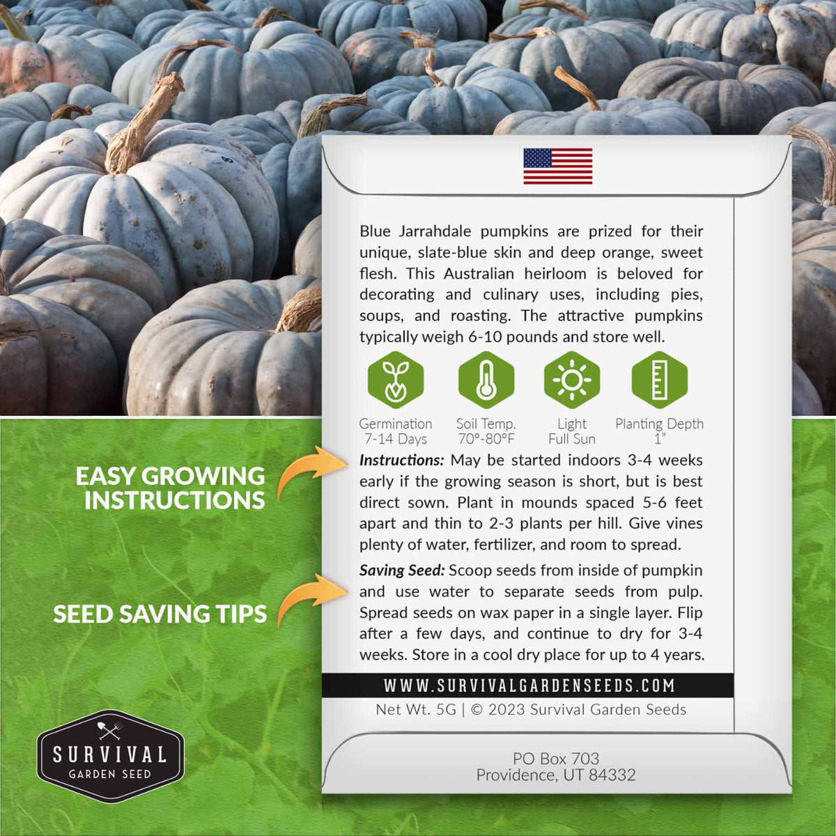Blue Jarrahdale Pumpkin seed growing instructions
