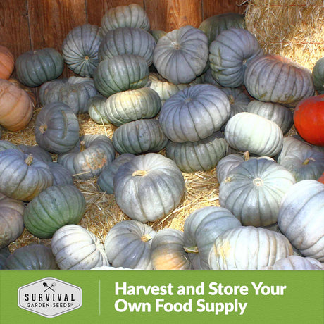 Harvest and store your own food supply