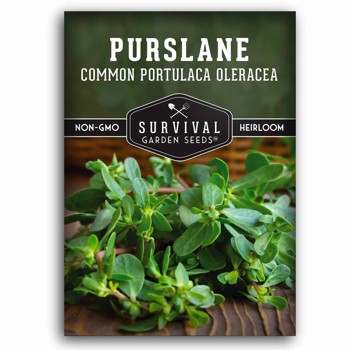 pss plant seeds Purslane – Heirloom Summer Green Seeds