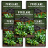 5 packets of Purslane seeds