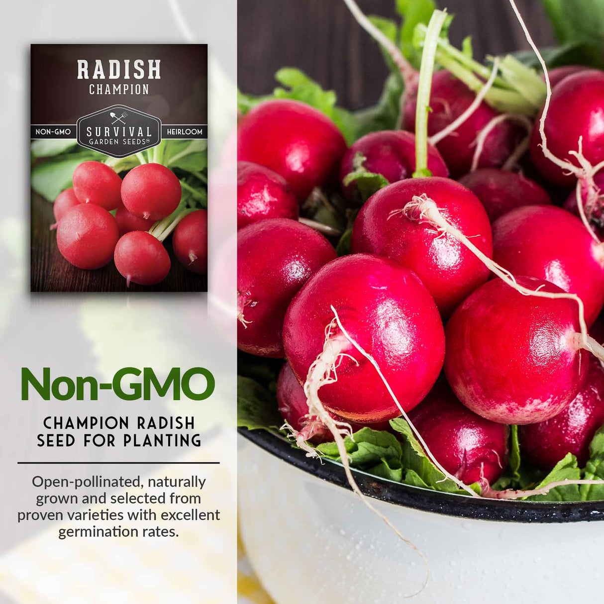 NonGmo radish seeds