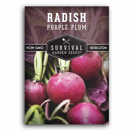 Purple Plum Radish seeds