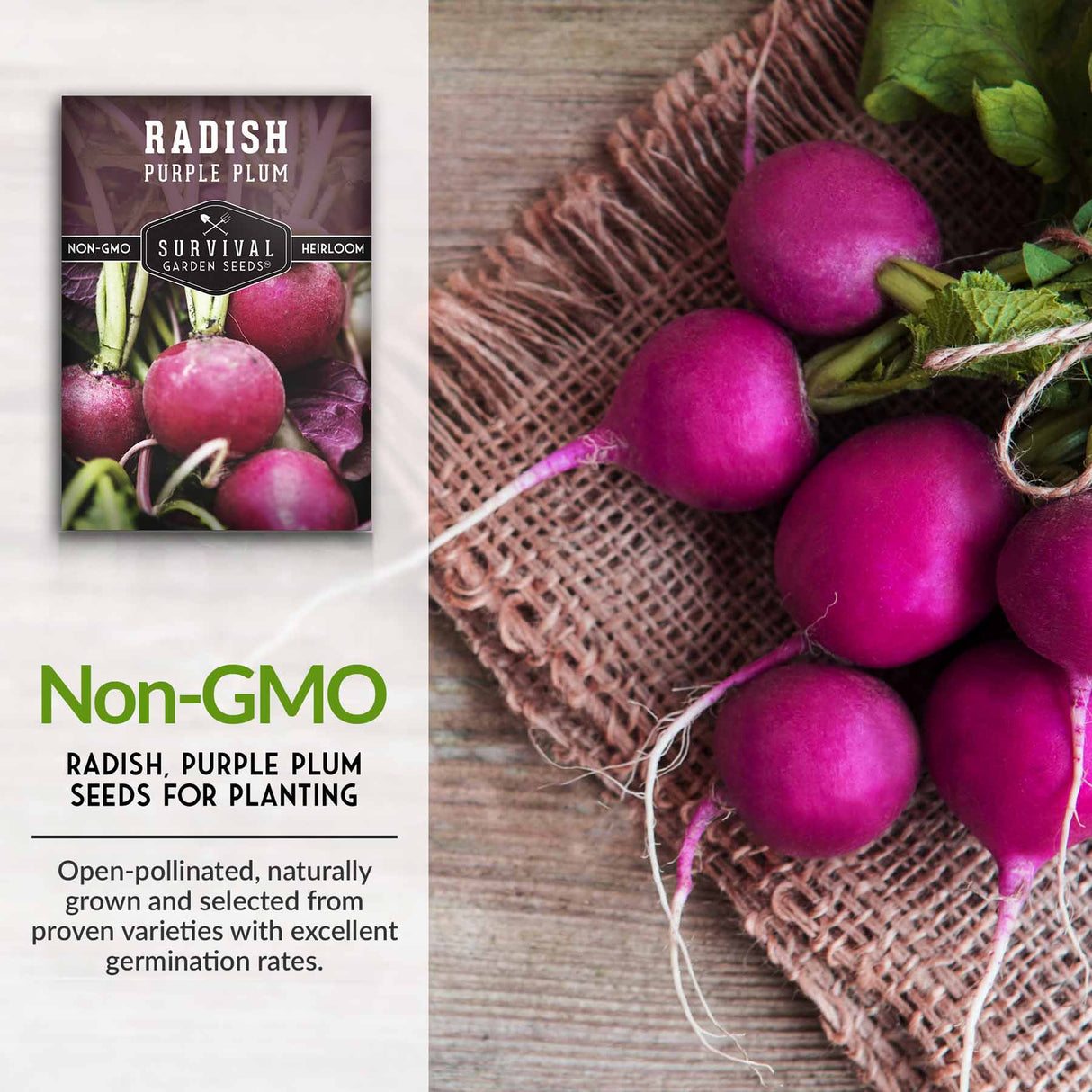 Non-GMO radish seeds