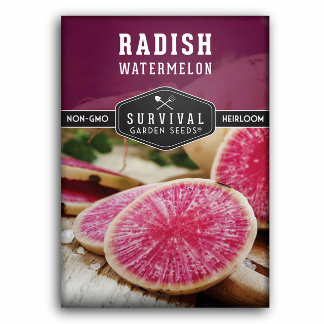 Watermelon Radish seeds