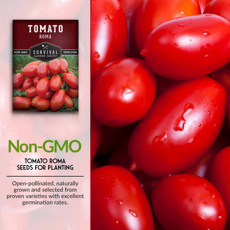 Non-GMO roma tomato seeds