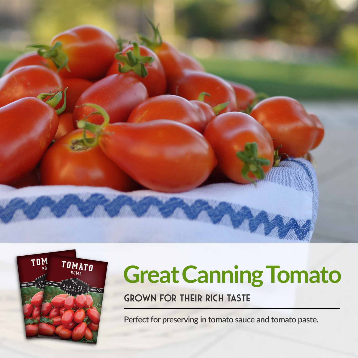 Great Canning Tomato