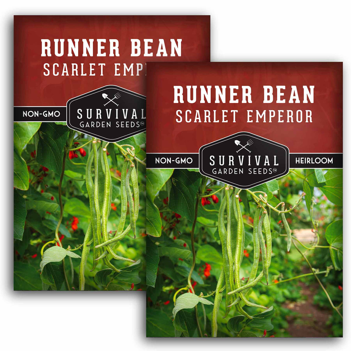 2 packets of Scarlet Emperor Runner Bean seeds