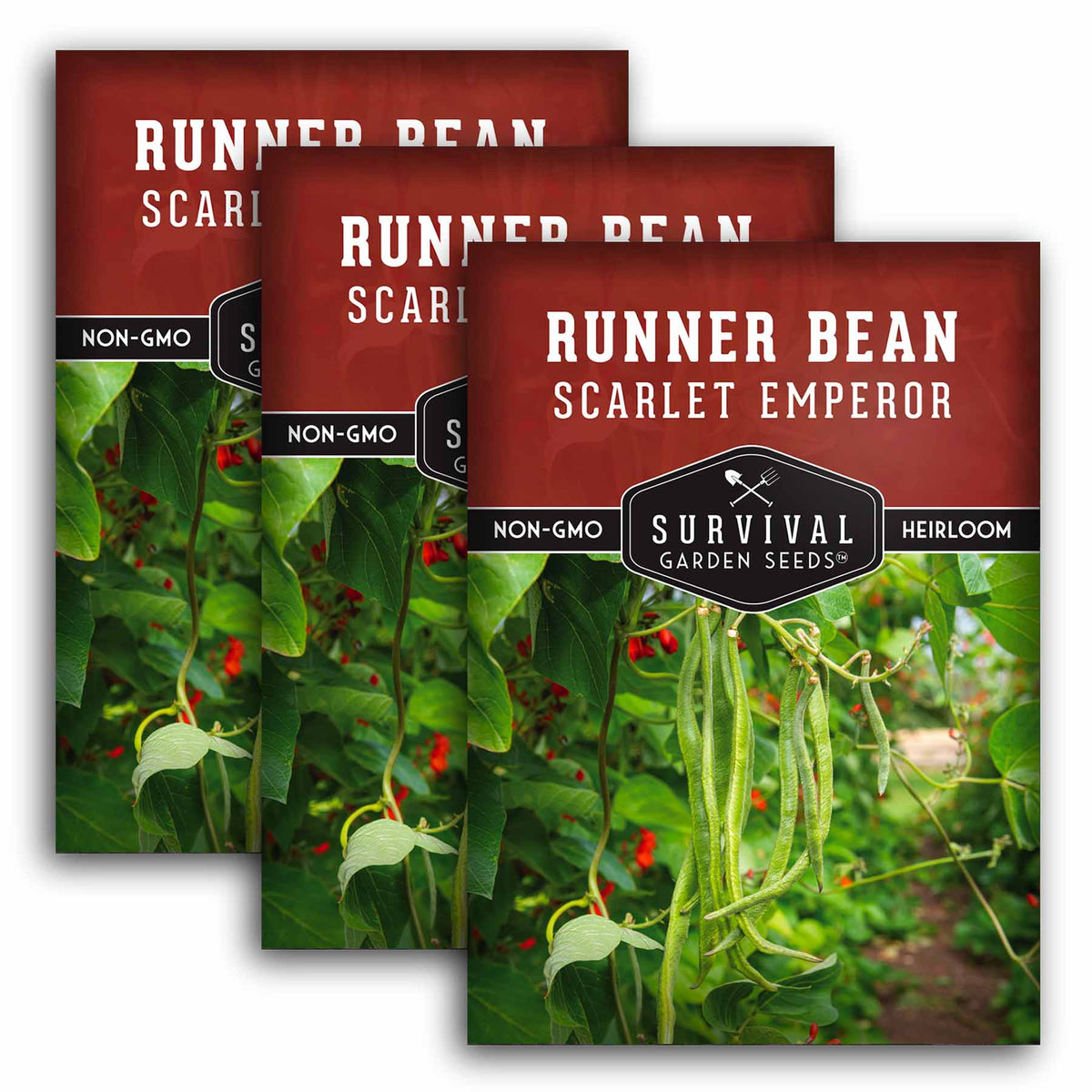 3 packets of Scarlet Emperor Runner Bean seeds