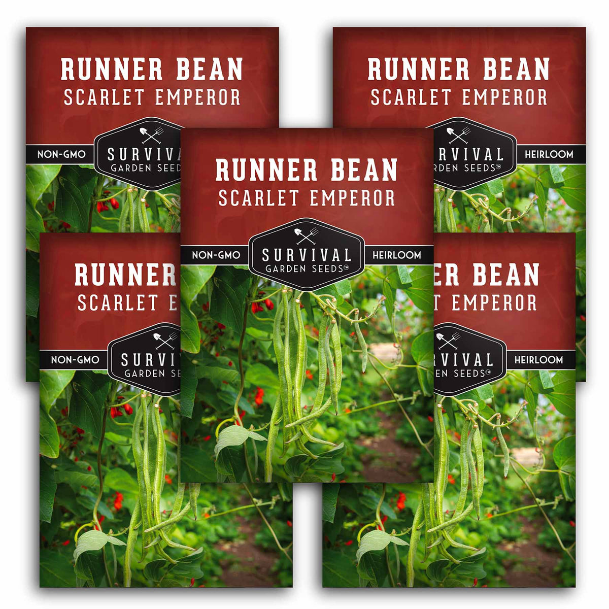 5 packets of Scarlet Emperor Runner Bean seeds
