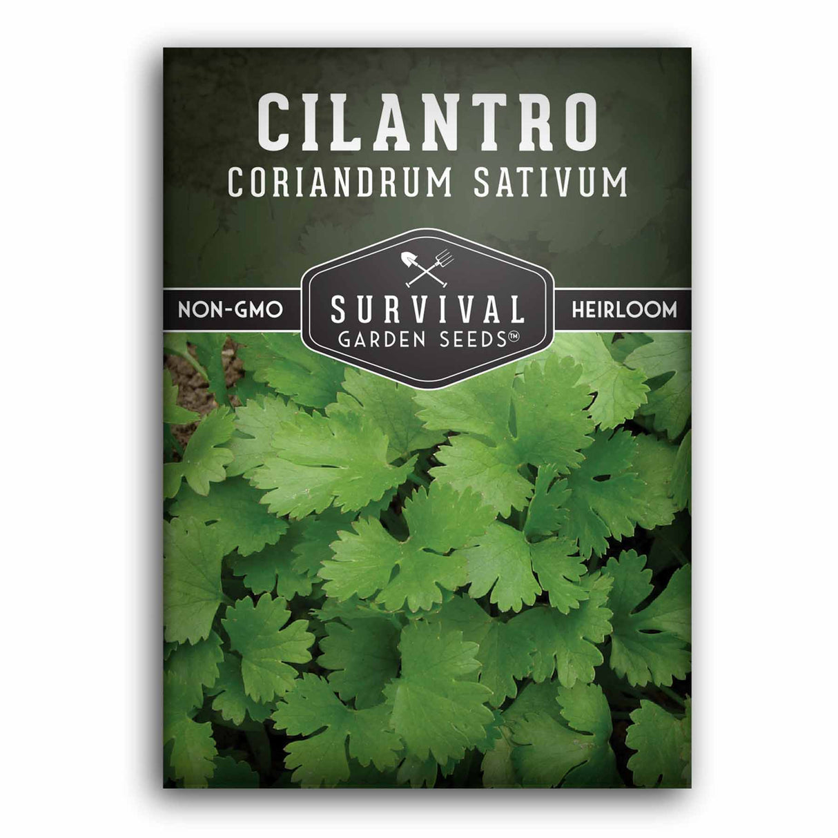 Cilantro Seed Packet