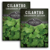 2 Packets of Cilantro Seeds