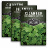 3 Packets of Cilantro Seeds