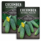 2 Packets of National Pickling Cucumber seeds