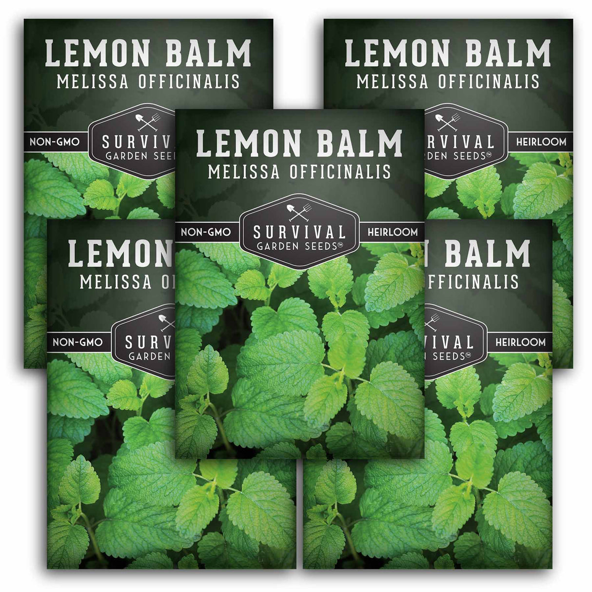 5 Packets of Lemon Balm seeds