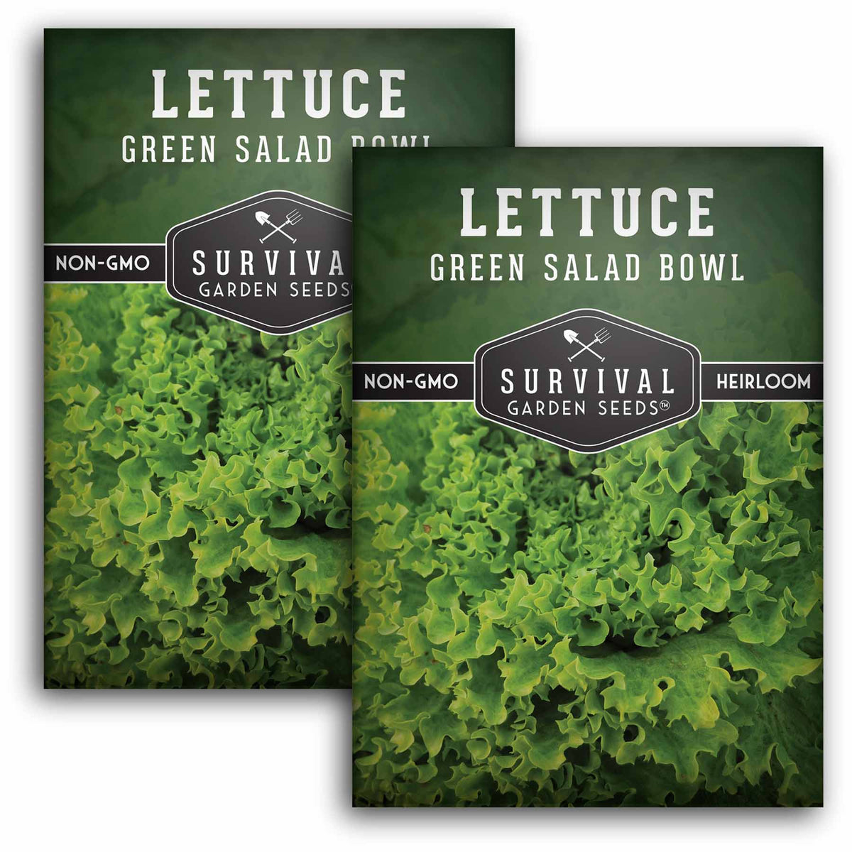2 packets of Green Salad Bowl Lettuce seeds
