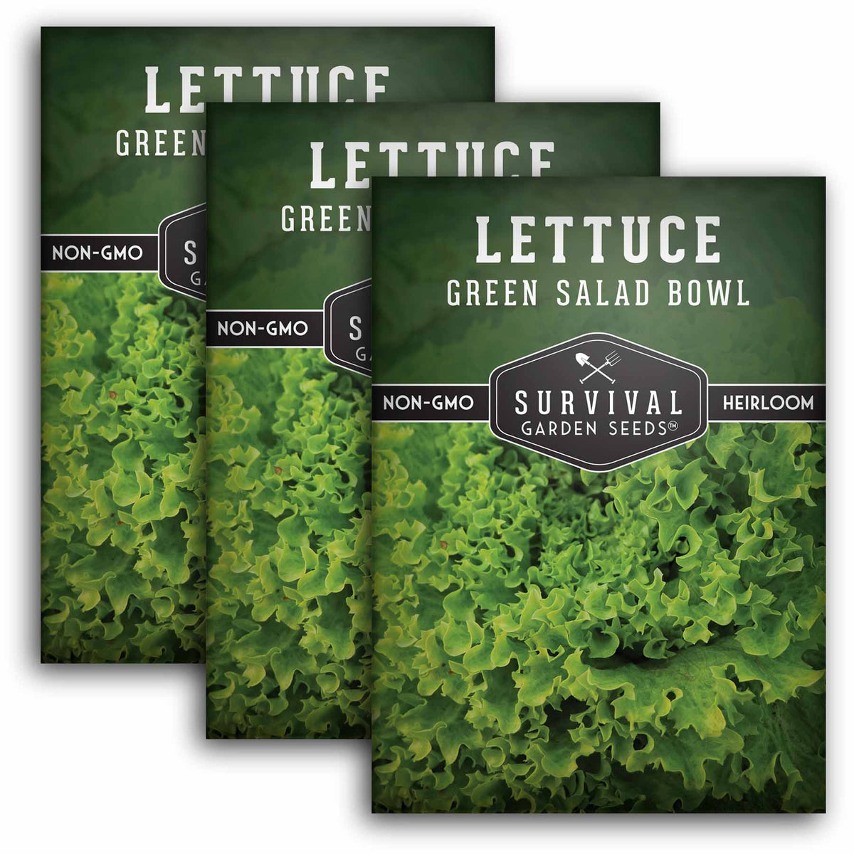 3 packets of Green Salad Bowl Lettuce seeds