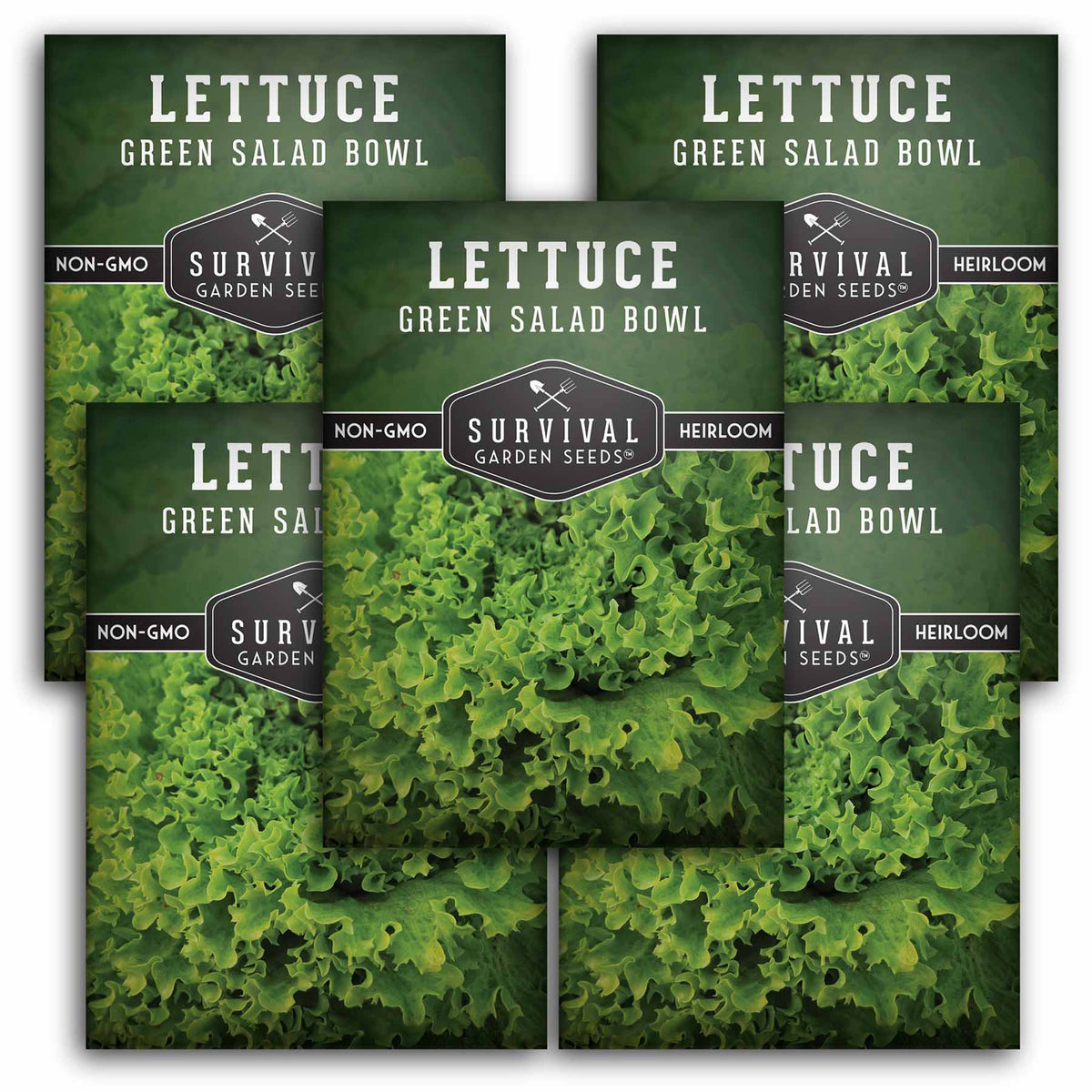 5 packets of Green Salad Bowl Lettuce seeds