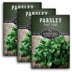 3 Packets of Flat Leaf Parsley seeds