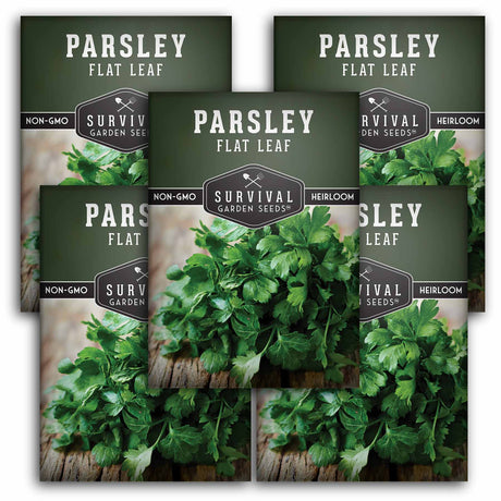 5 Packets of Flat Leaf Parsley seeds
