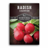 1 Packet of Champion Radish Seeds