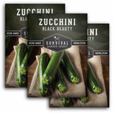 3 Packets of Black Beauty Zucchini seeds