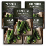 5 Packets of Black Beauty Zucchini seeds