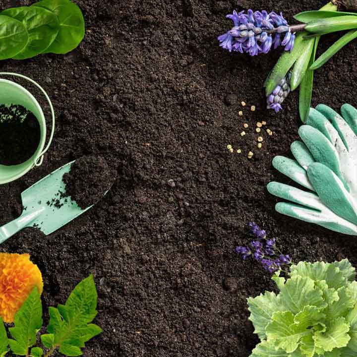 Growing Self-reliance Through Gardening