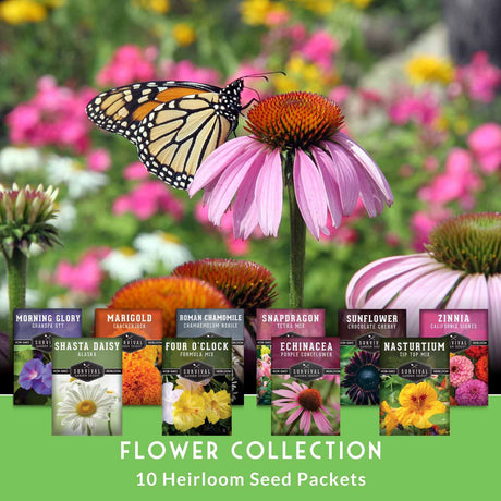 Flower collection with seed packets and a butterfly on a pink flower.