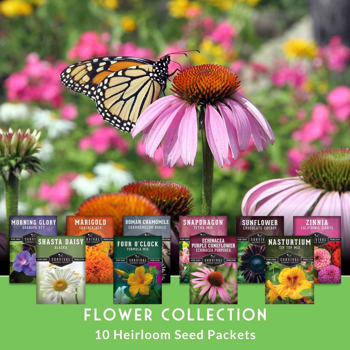 A promotional graphic for a flower seed packet collection, showing a monarch butterfly on a pink coneflower with multiple seed packet cards arranged along the bottom. The packets feature names like Morning Glory, Marigold, Roman Chamomile, Snapdragon, Schizandra, Sunflower, and Zinnia.