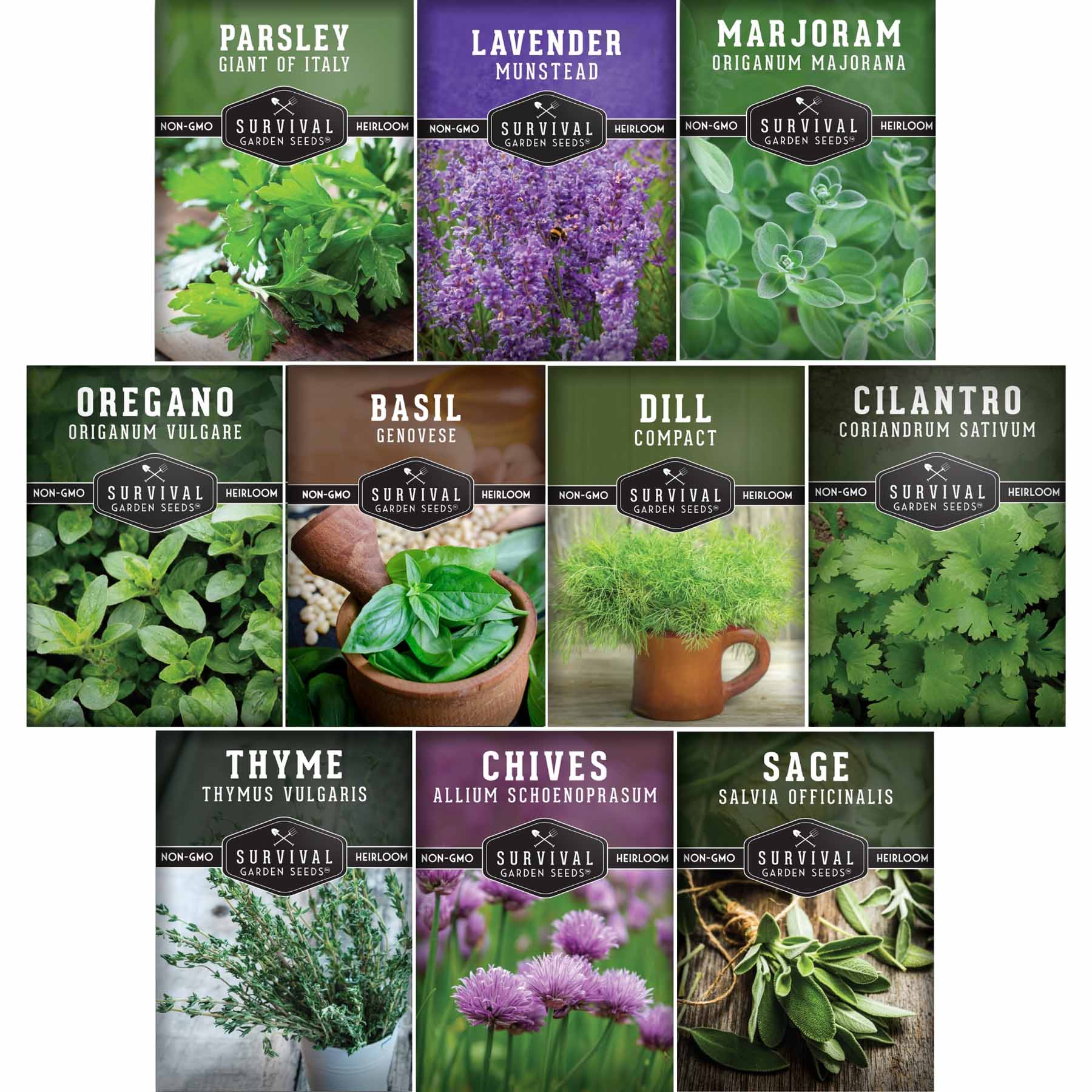 Herb Seeds 10 Variety Pack | Culinary – SurvivalGardenSeeds