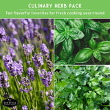 Culinary herb pack with images of cilantro, basil and lavender