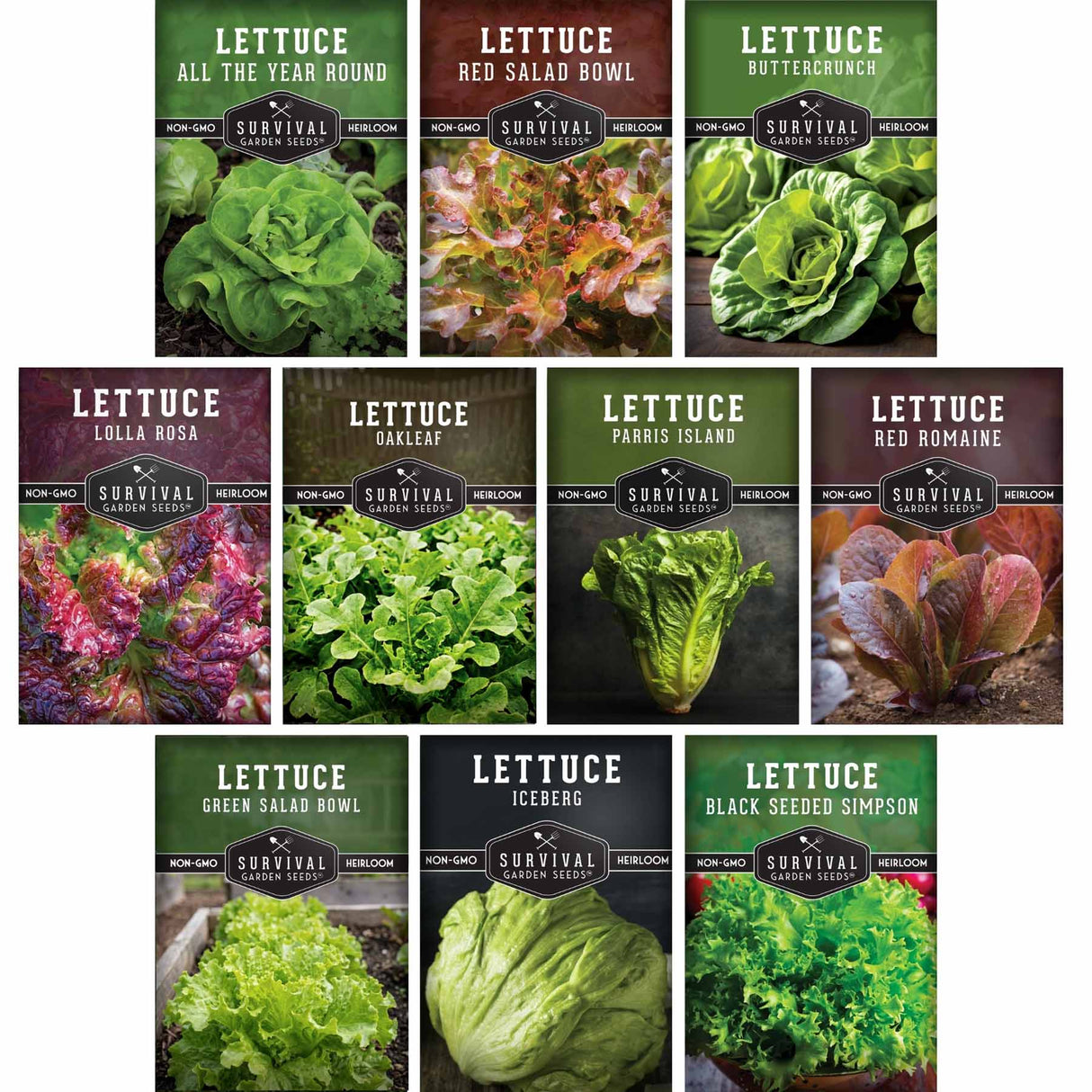 Collection of lettuce seed packets with various types of lettuce on a white background