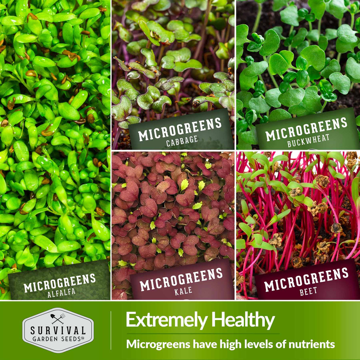 Collage of various microgreens with labels and a brand logo at the bottom.
