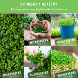 Collage of microgreens with text highlighting their health benefits and types.