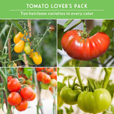 Collage of tomatoes in various colors with text 'Tomato Lover's Pack' on a green background.