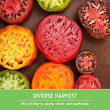 Assorted sliced tomatoes including cherry, paste, slicer, and beefsteak on a brown background with 'Diverse Harvest' text.