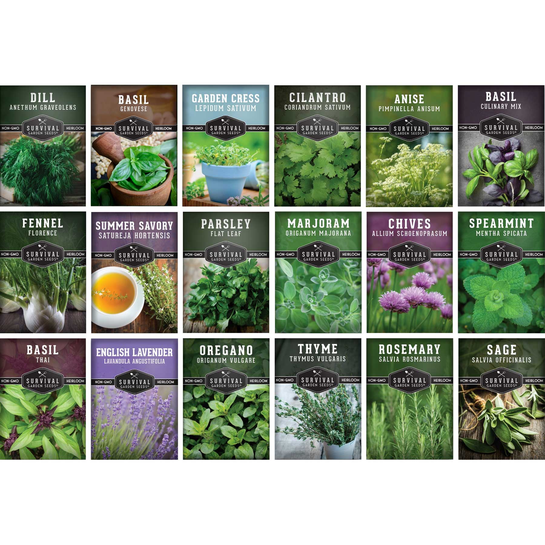 18 Culinary Herb Seed Collection – SurvivalGardenSeeds