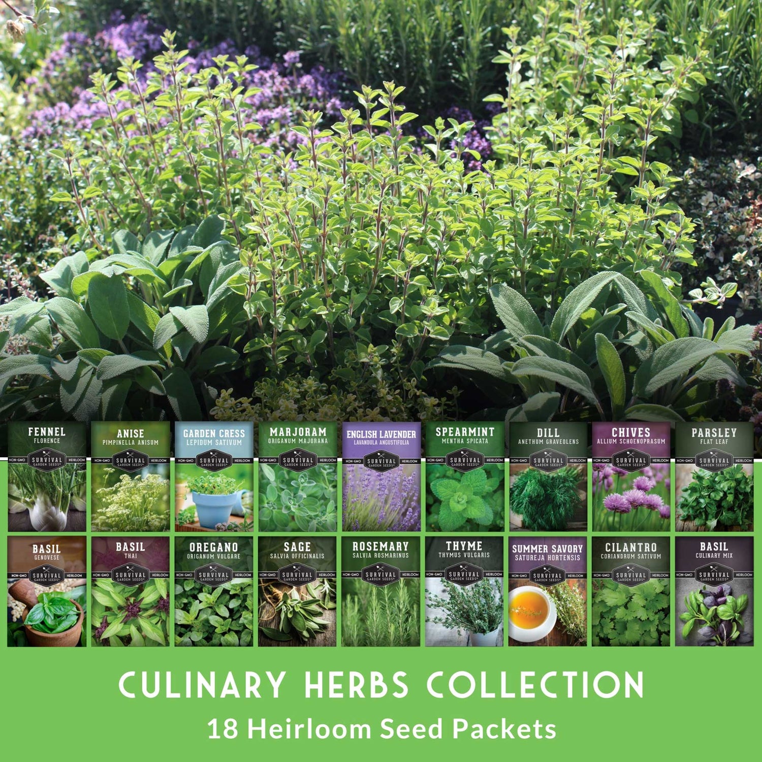 planting herb seeds for beginners 18 Culinary Herb Seed Collection – Heirloom Herbs for Cooking, Teas, Remedies & Year-Round Kitchen Gardens