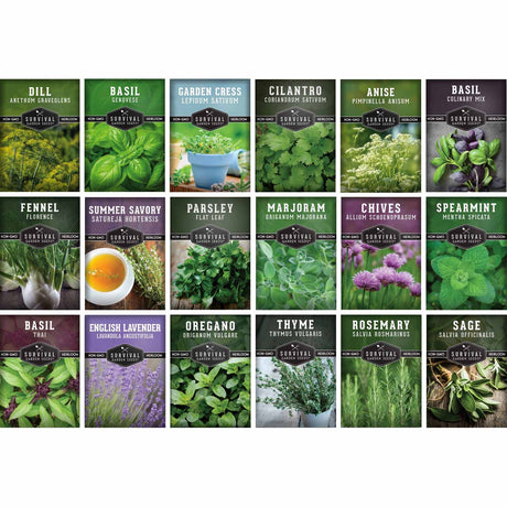 A grid of 18 seed packet designs for Survival herbs, featuring colorful photographs of various herbs like dill, basil, fennel, oregano, and sage with their names printed on each packet.