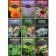 Collection ofSurvival Herbals seed packets with various herbs and their names.