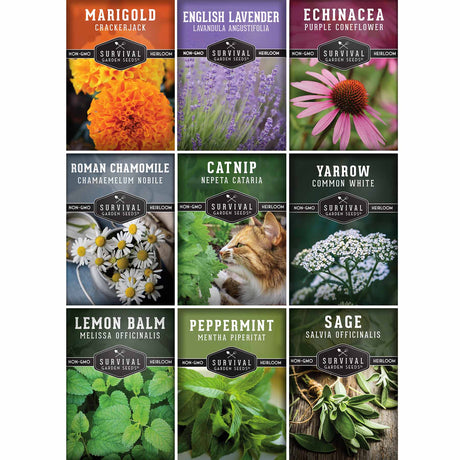 Collection ofSurvival Herbals seed packets with various herbs and their names.