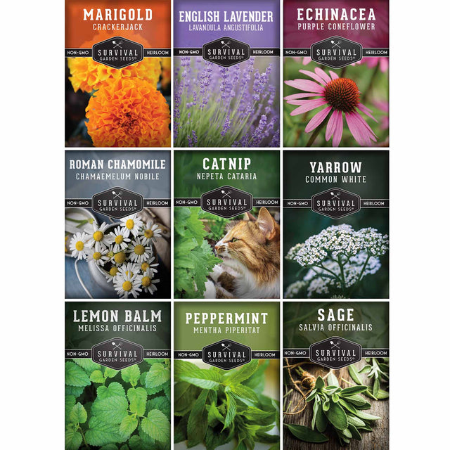 Collection ofSurvival Herbals seed packets with various herbs and their names.