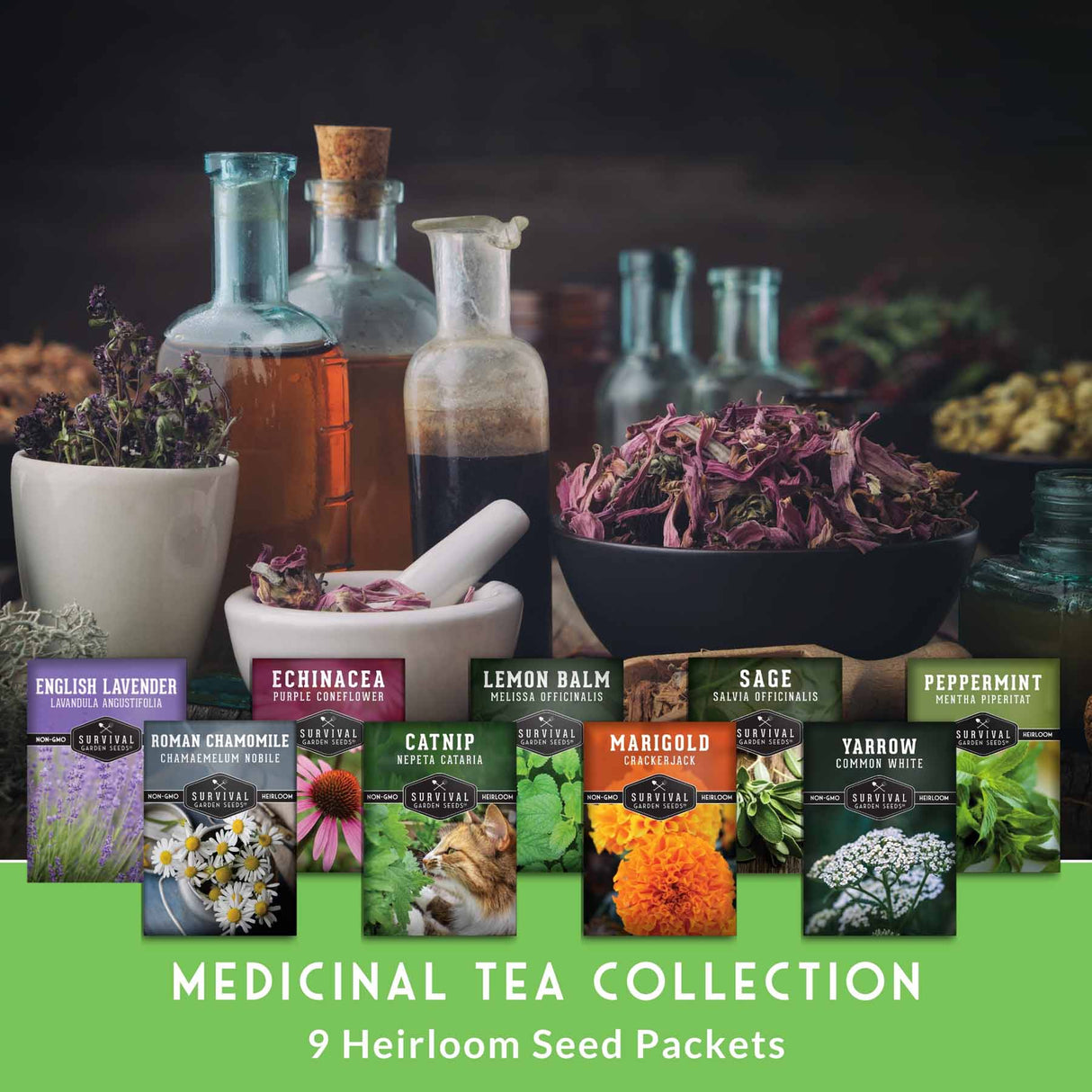 Medicinal tea collection with herbs and seed packets on a dark background