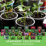 Apartment Seed Kit - 20 heirloom packets of seeds