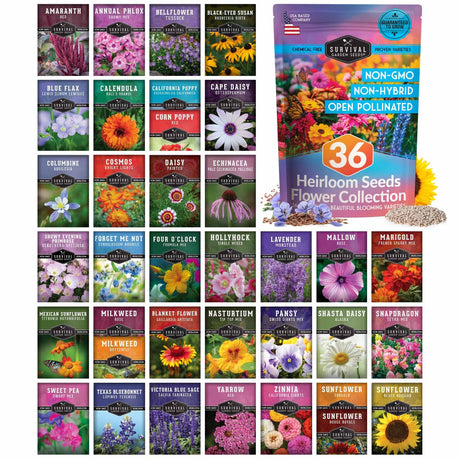 A seed packet for the Survival Store Heir Flowers 36 Heir Seeds Flower Collection is shown next to a grid of 36 individual flower seed packet previews. The packets display a wide variety of colorful flowers, including sunflowers, daisies, lavender, and roses, with text indicating they are non-GMO, non-hybrid, and open-pollinated.