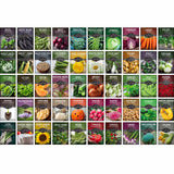 Grid of seed packets with various vegetables and plants on a white background